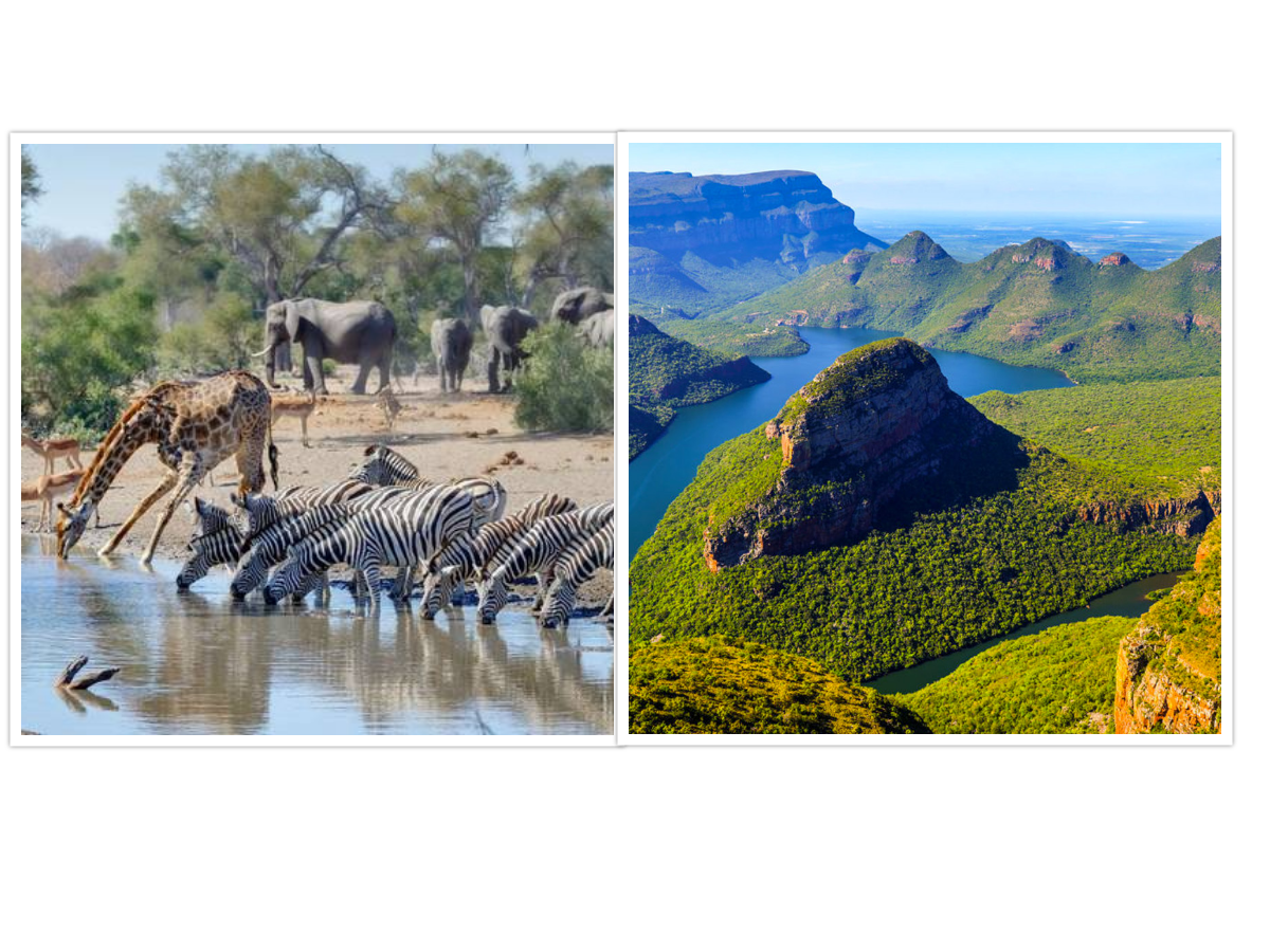 KRUGER PARK EXPLORER